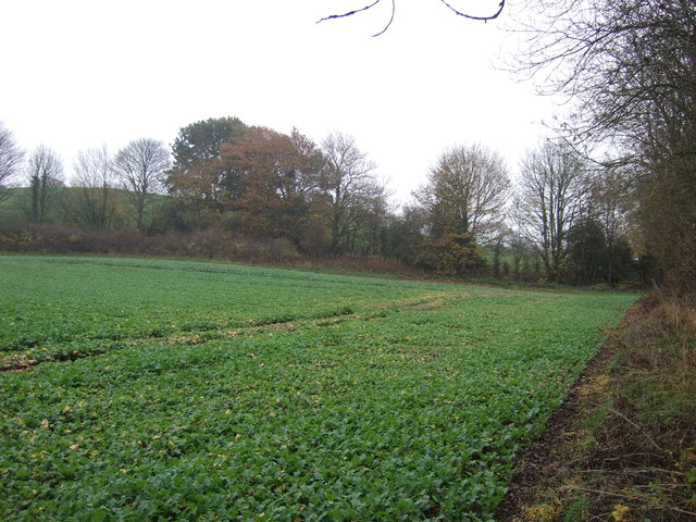 Farmland, Shincliffe