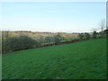 Hillside view east across the Waldron Gill vale