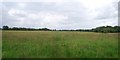 SU7822 : Grassland, West Heath Common by N Chadwick