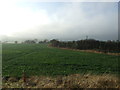 Farmland, Running Waters