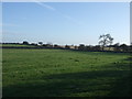 Farmland off the A181