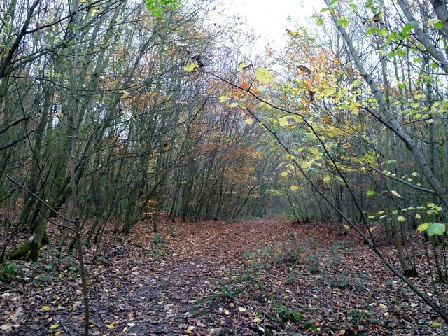 Footpath through Bell Ground