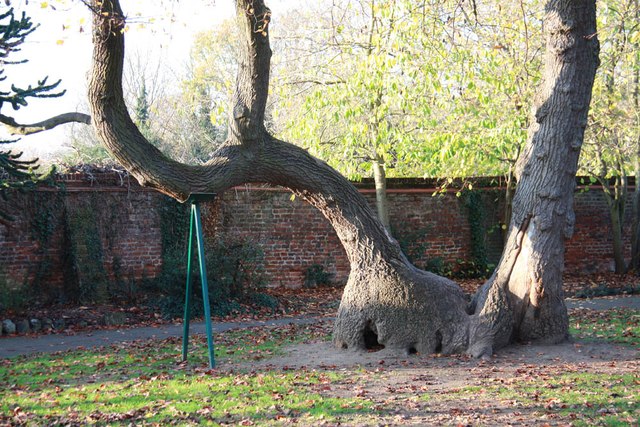 Cedars Park, Waltham Cross © John Salmon cc-by-sa/2.0 :: Geograph ...