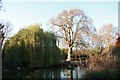 Cedars Park, Waltham Cross - Pond