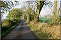 A View up Whitehouse Lane