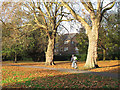 Cycling through the park