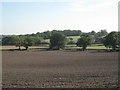 SP1666 : Fields north of Hazelwood Green by Robin Stott