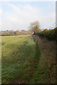 Footpath from Stevens Drove to Eveley Farm