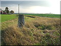 View From A Trig Point