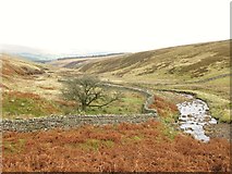 NY6846 : Gilderdale by Mike Quinn