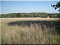 SP1667 : Field edge southwest of Holly Bank Farm by Robin Stott
