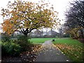 Autumn in Moorside  Park