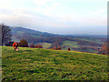 View from Boarfold Lane (2)