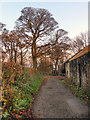 Path Behind Mottram Old Hall