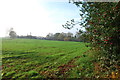 Across fields in the direction of the A520