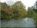 River Mole, Fetcham