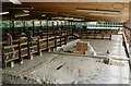 Inside Fishbourne Roman Palace