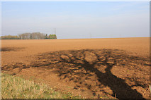 TL5762 : Ploughed field off Cadenham Road by Hugh Venables