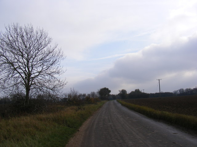 Woodlane Road