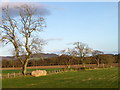 Fields near Mid Gallowhill