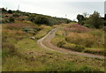 Track to Garn Llwyd from Watford Road, Caerphilly