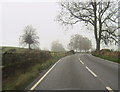 SO3390 : A488 approaching Park cottages by John Firth