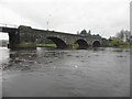 The River Bann, Portglenone