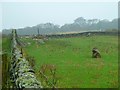 Standing Stone and Cairn