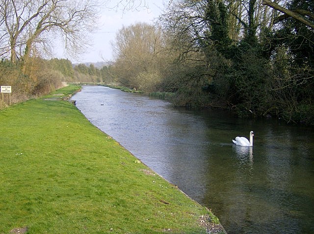 River Test at Town Mill
