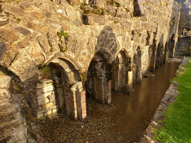 Cloister ruins - Friary of Dún na nGall