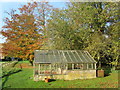 TF9336 : Greenhouse in the Grounds of Walsingham Abbey by Chris Heaton