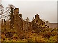 Derelict Cottage