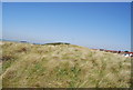 Sand dunes, Beadnell