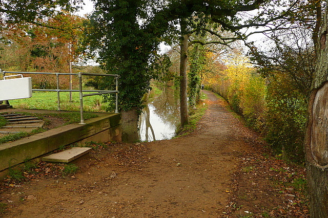 Towpath by Brewhurst Lock
