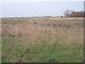 View towards Red House Farm