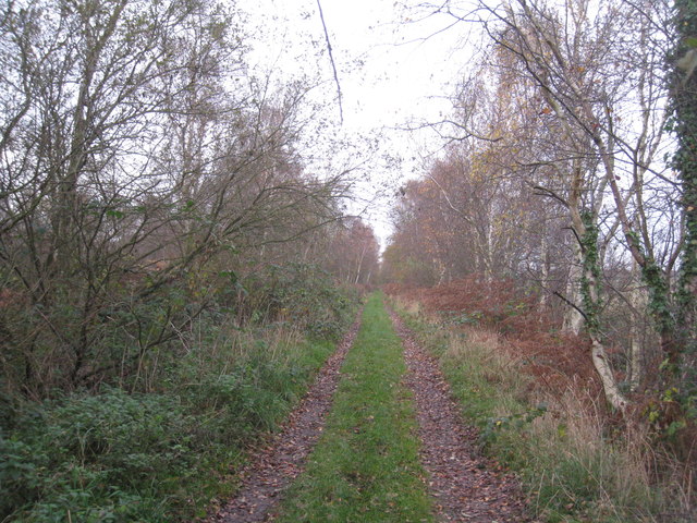 Track On Crowle Moor © Jonathan Thacker :: Geograph Britain And Ireland