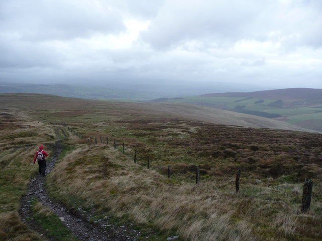 Footpath on Moel Pearce in the Berwyns © Jeremy Bolwell cc-by-sa/2.0 ...