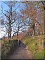 Walking the Nidderdale Way