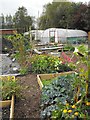 The vegetable plot - general view