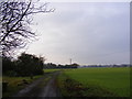 Locks Farm Lane, Reading Green