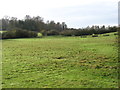 Fields near Little Barrington