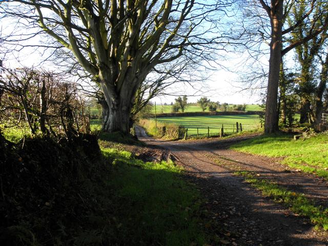 Lane, Mountjoy