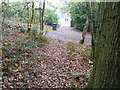 Footpath and bridleway intersection