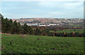 Field with adjacent trees overlooking southern Gateshead