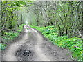 Track near Kinrossie