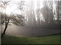 Skateboard Rink, Horniman Gardens