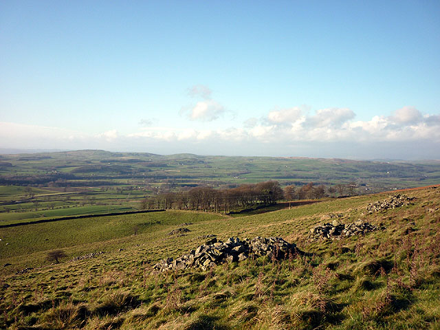 The pasture above Casterton Stone Circle
