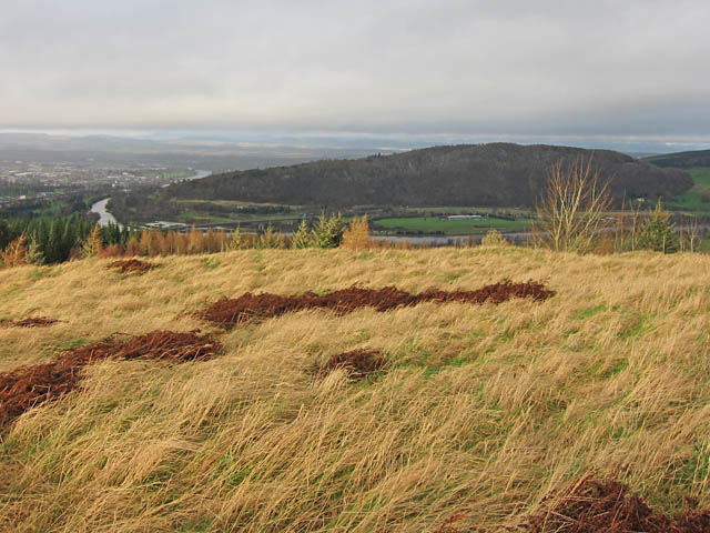 View towards Kinnoull Hill, the Tay and Perth