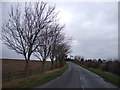 Minor road towards Yafforth