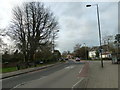 Fair Oak Road in late November 2011